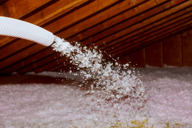 Best Eco-Friendly Insulation in Charlotte, NC