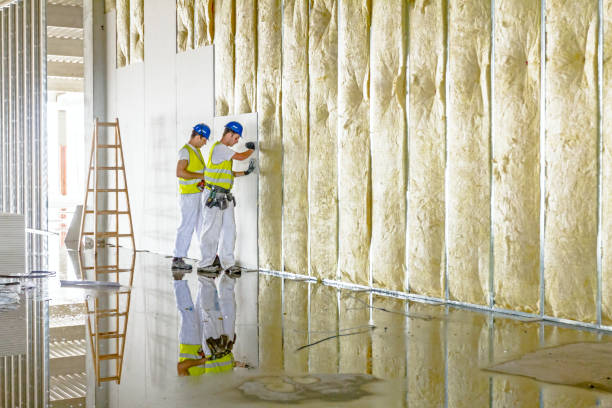 Best DIY Insulation Kits and Guidance in Charlotte, NC